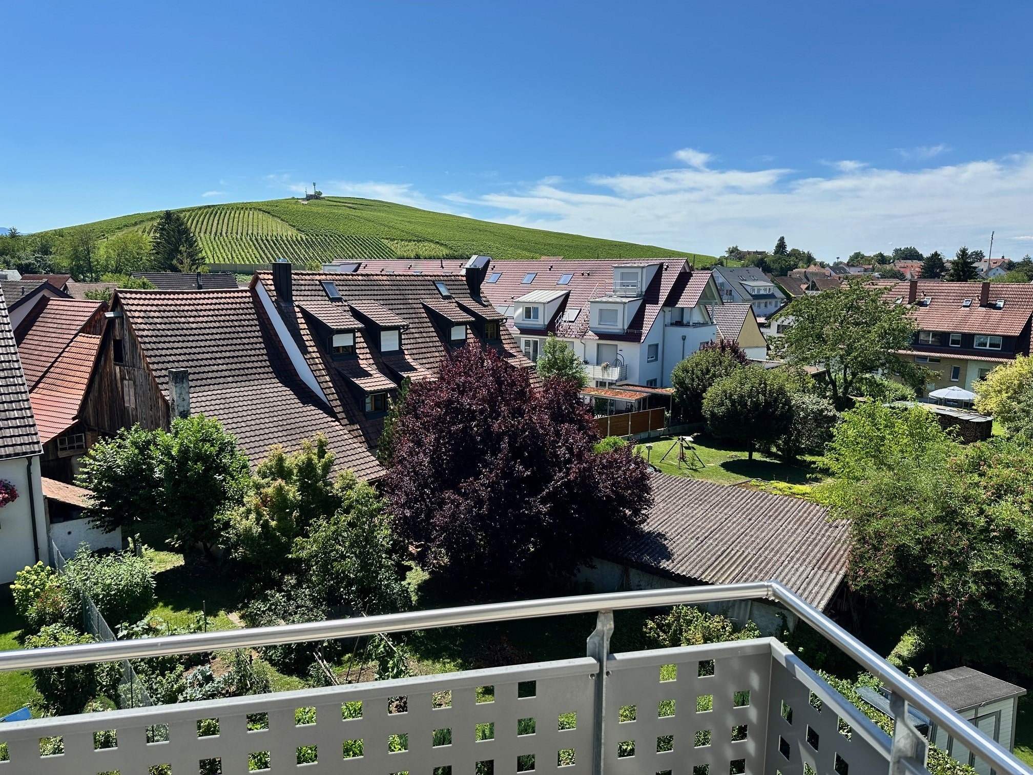 Aussicht vom Balkon: Blick in die Weinberge